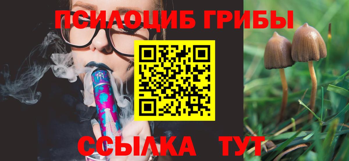 Псилоцибиновые грибы Magic Shrooms  Псилоцибиновые грибы мицелий  закладки  Похвистнево  Вход с VPN 